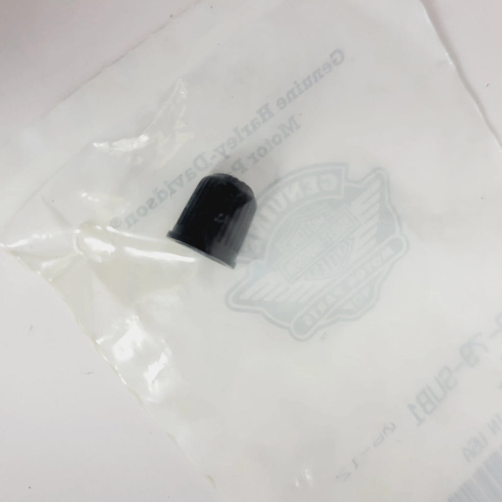 Valve Cap for Harley Davidson (1979) 41123-79