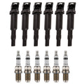 Set of 6 Ignition Coils & Double Platinum Spark Plugs for BMW E46 E85 (2002–2006)