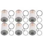 6PCS Fuel Water Separator Filters for Hino Volvo Freightliner (FS19624 PF7895)