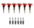 Set of 6 Denso Ignition Coils for Iridium TT (Gap 0.040)