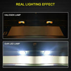 White LED License Plate Lights for BMW X1, X3, 220i, 320i, 328i, 335i, 435i, 520i
