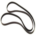 Belt for Sierra