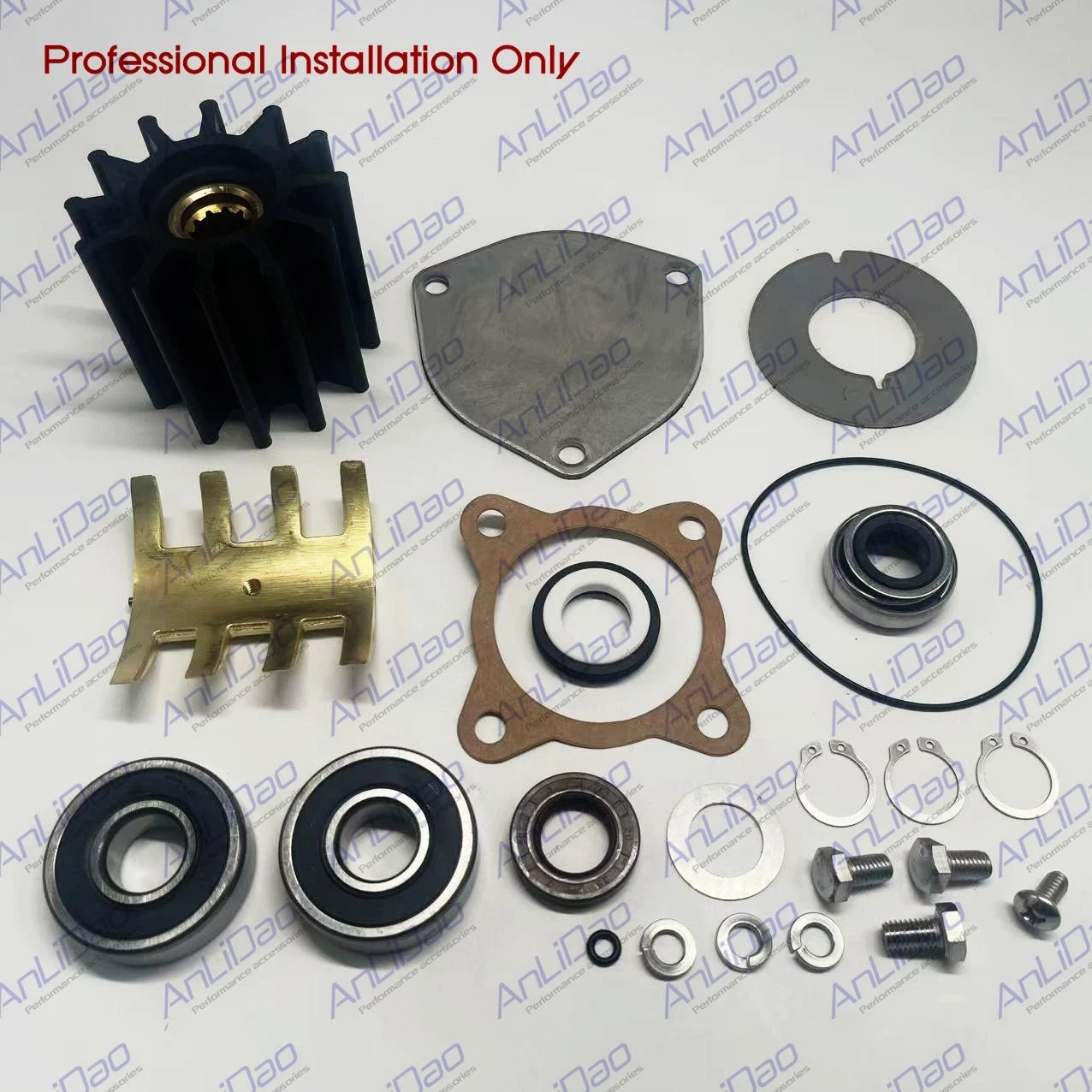 Minor Repair Kit for Fit Fit Sherwood Pumps (P2701-01, P2702-01, P2703-01, P2704-01)