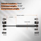 2X Front Hood Struts for Honda Crosstour (2010-2015)