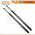 2X Rear Liftgate Hatch Lift Support Struts for Chrysler Town & Country (2008–2015)