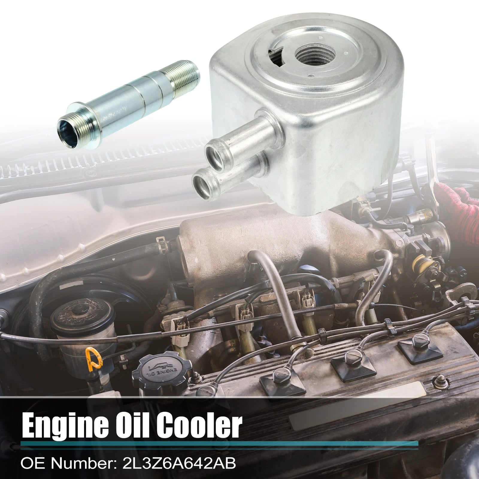 Engine Oil Cooler Housing with Fitting Assembly for Ford Lincoln (2002–2006)