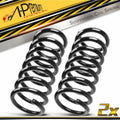 2X Rear Coil Springs for Chevrolet Equinox (2005–2006) Pontiac Torrent (2006)