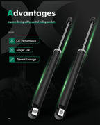 Set of 2 Rear Shocks Absorbers for BMW 318i 320i 323i 325i 328i 330i (1996–2006)