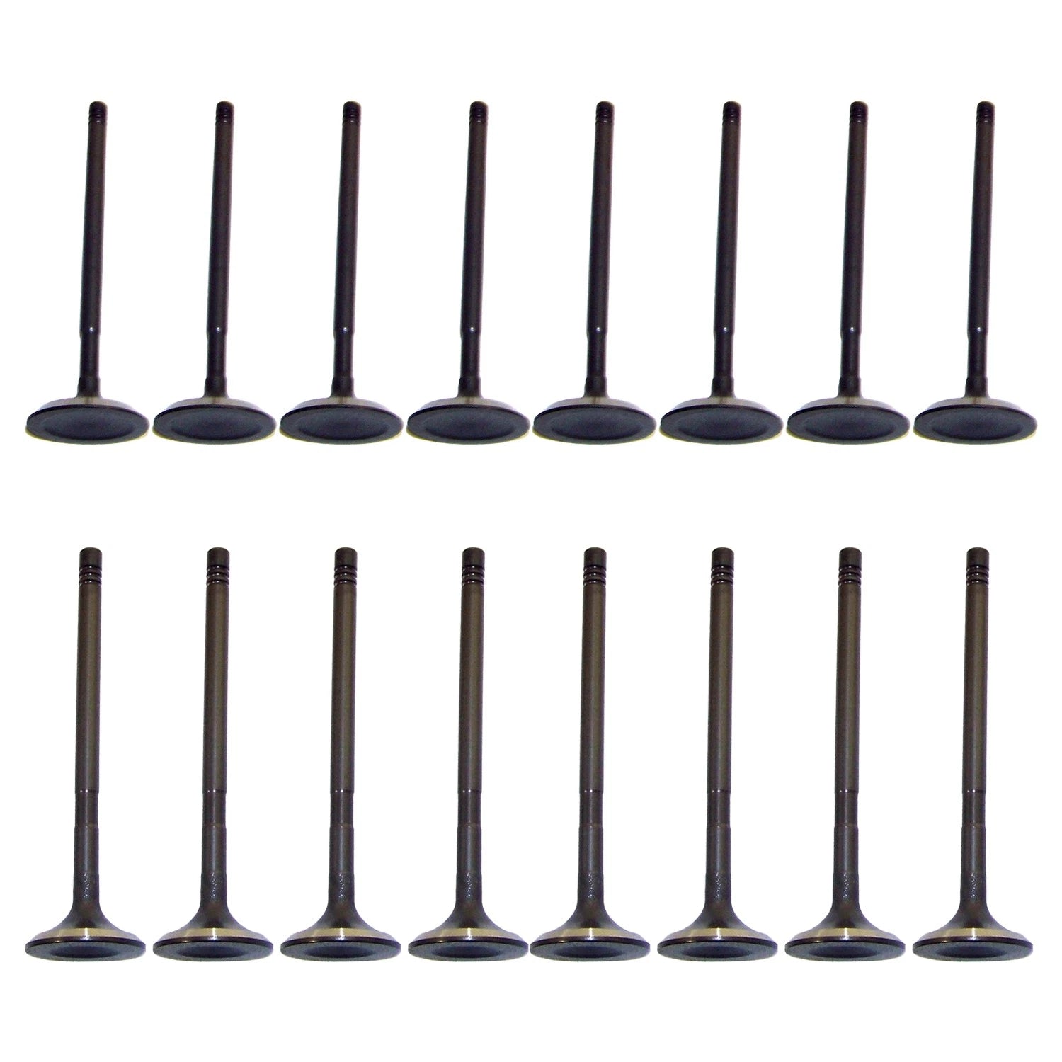 Set of 16 Intake & Exhaust Valves for Ford Focus 2.0L DOHC Zetec (2002–2004)
