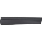 Door Moldings for Honda Passport (Front Passenger Right Side)