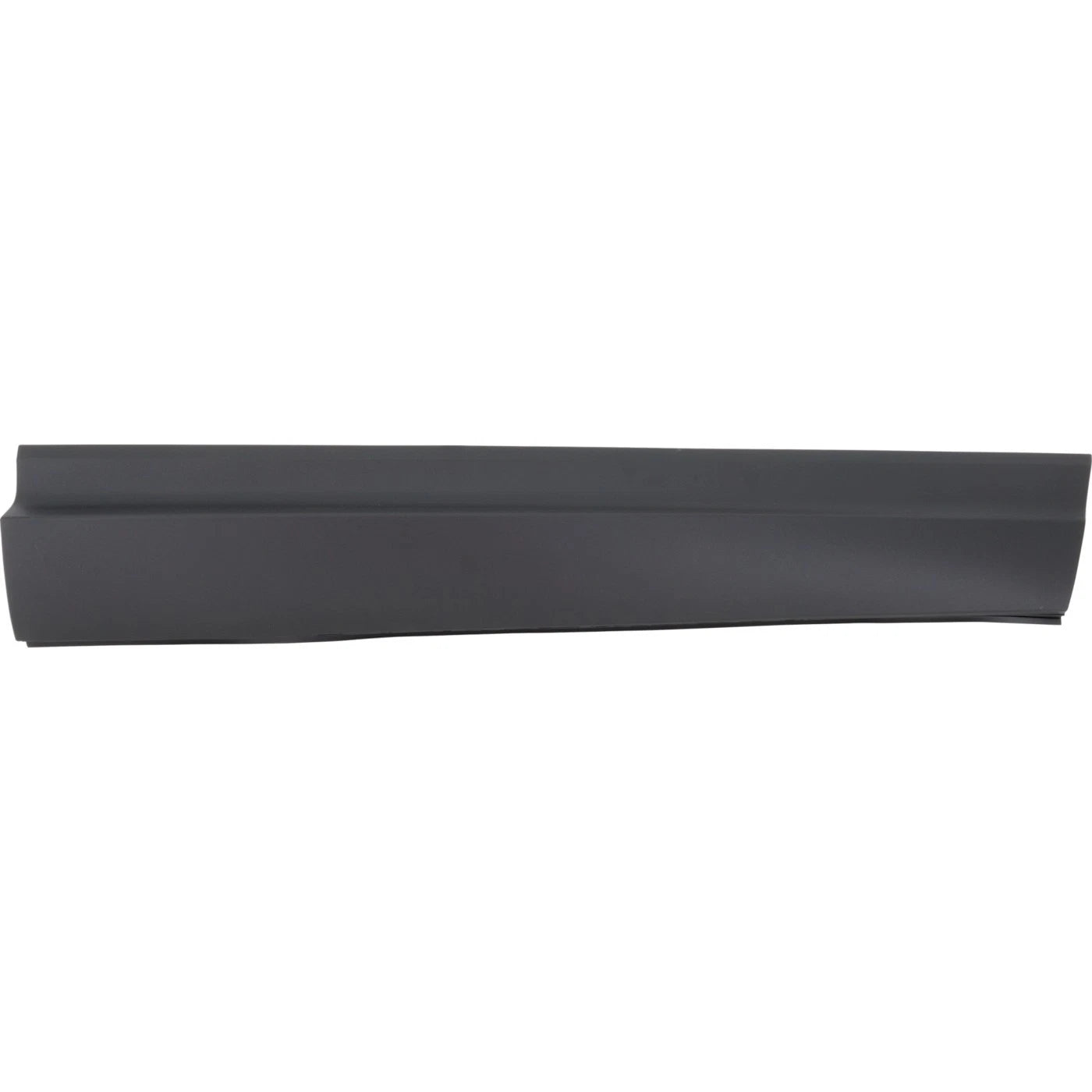 Door Moldings for Honda Passport (Front Passenger Right Side)