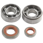 Crank Bearings Oil Seals for Chainsaw (9640 003 1600, 9640 003 1190)