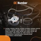 Belt Kit for Ford Focus B-Max C-Max 1.0 EcoBoost (2012–2022)