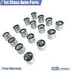 Hydraulic Lifters for Kia Rio, Rio5, Hyundai Accent (2001–2019)