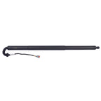Tailgate Strut for Chrysler Pacifica Voyager (2017-2025)