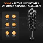 2X Rear Quick Complete Struts & Coil Spring Assembly for Acura TSX (2009-2012)