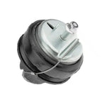Hydraulic Engine Mount for Volvo (2969801)