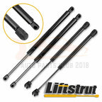 Set of 4 Lift Supports for Dodge Magnum (2005–2010)