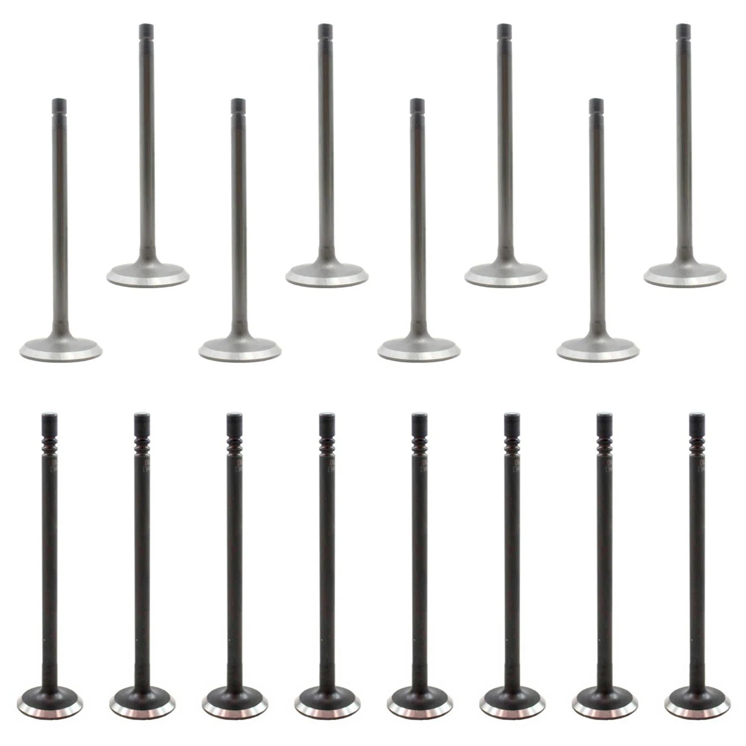 Set of 16 Intake & Exhaust Valves for Ford Escape Escort Focus Tribute (2001–2012)