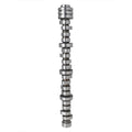 Engine Camshaft for Dodge Challenger Charger Grand Cherokee 300 Durango (2009–2018)