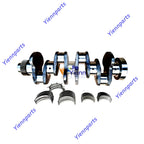Crankshaft Assembly with Bearing Set for Cummins 4BT3.9 4BTA3.9 (–) 3929036 3907803