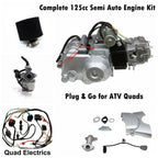 125cc Engine Motor for ATV Quad Bike (110cc, 3 Speed & Reverse)