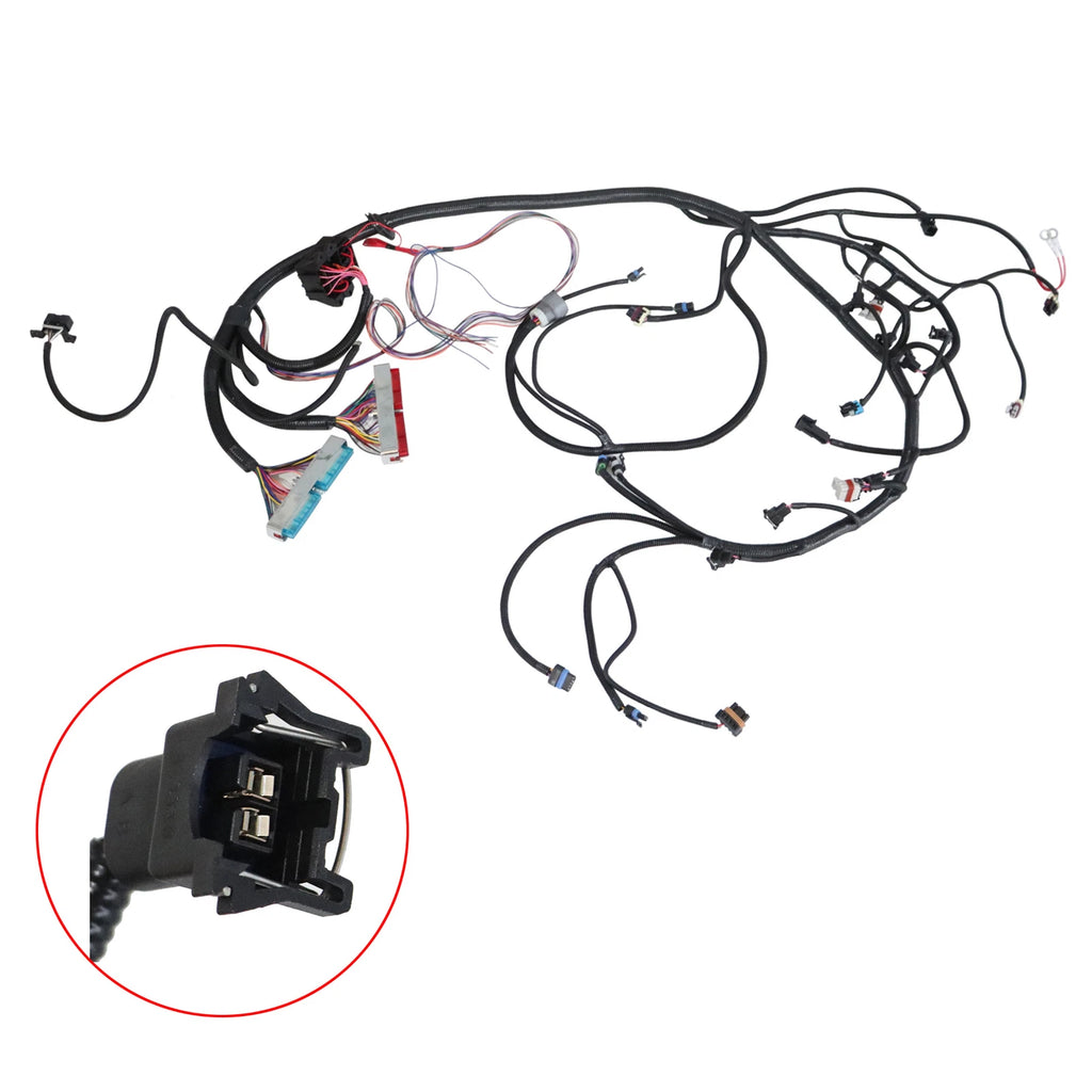 LS Swap DBC Standalone Wiring Harness for 97-06 LS1 Engine 4.8 5.3 6.0L w/ 4L80E