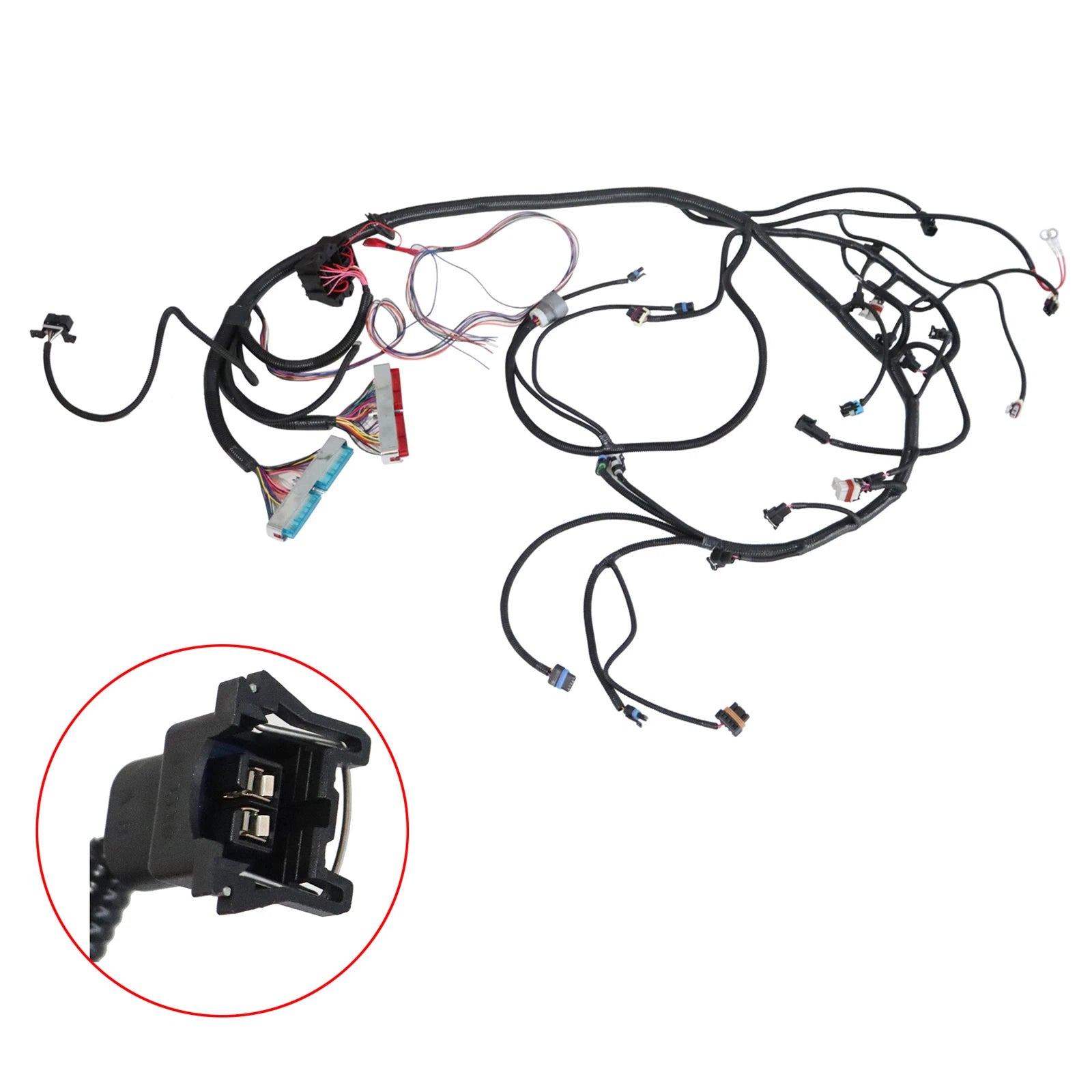 LS Swap DBC Standalone Wiring Harness for 97-06 LS1 Engine 4.8 5.3 6.0L w/ 4L80E