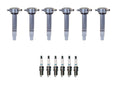 Set of 6 Ignition Coils & Iridium TT Spark Plugs for Dodge Chrysler V6