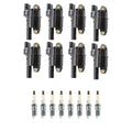 Set of 8 Ignition Coils & NGK Platinum Spark Plugs for Express 1500 (1996–2021)