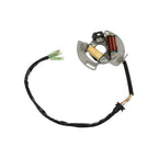 Set of 2 Flywheel Generators with Stator for Yamaha