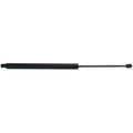 Lift Support Set for Toyota Sienna (2004–2005)