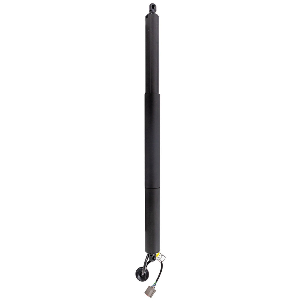 Liftgate Lift Supports for Ford Explorer (2015)