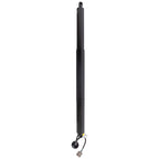 Liftgate Lift Supports for Ford Explorer (2015)