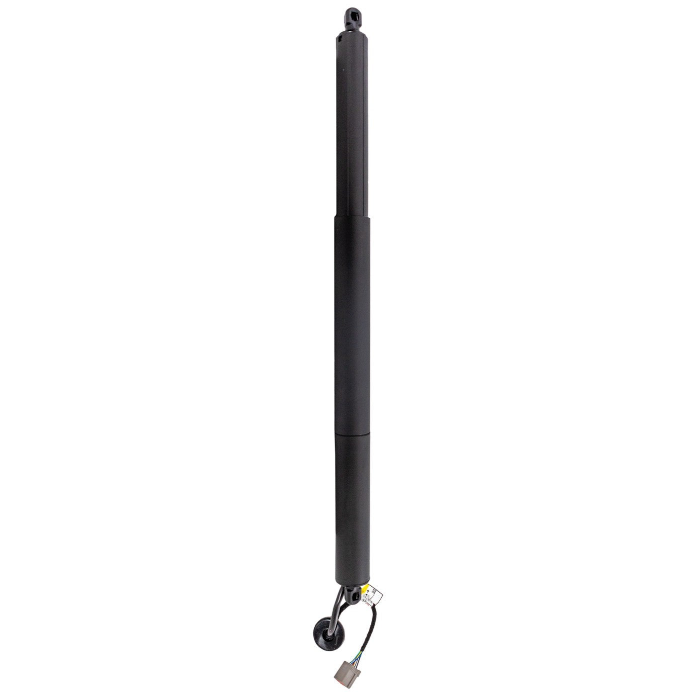Liftgate Lift Supports for Ford Explorer (2015)