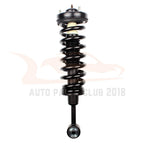 Struts Assembly for Ford F150 Lincoln Mark