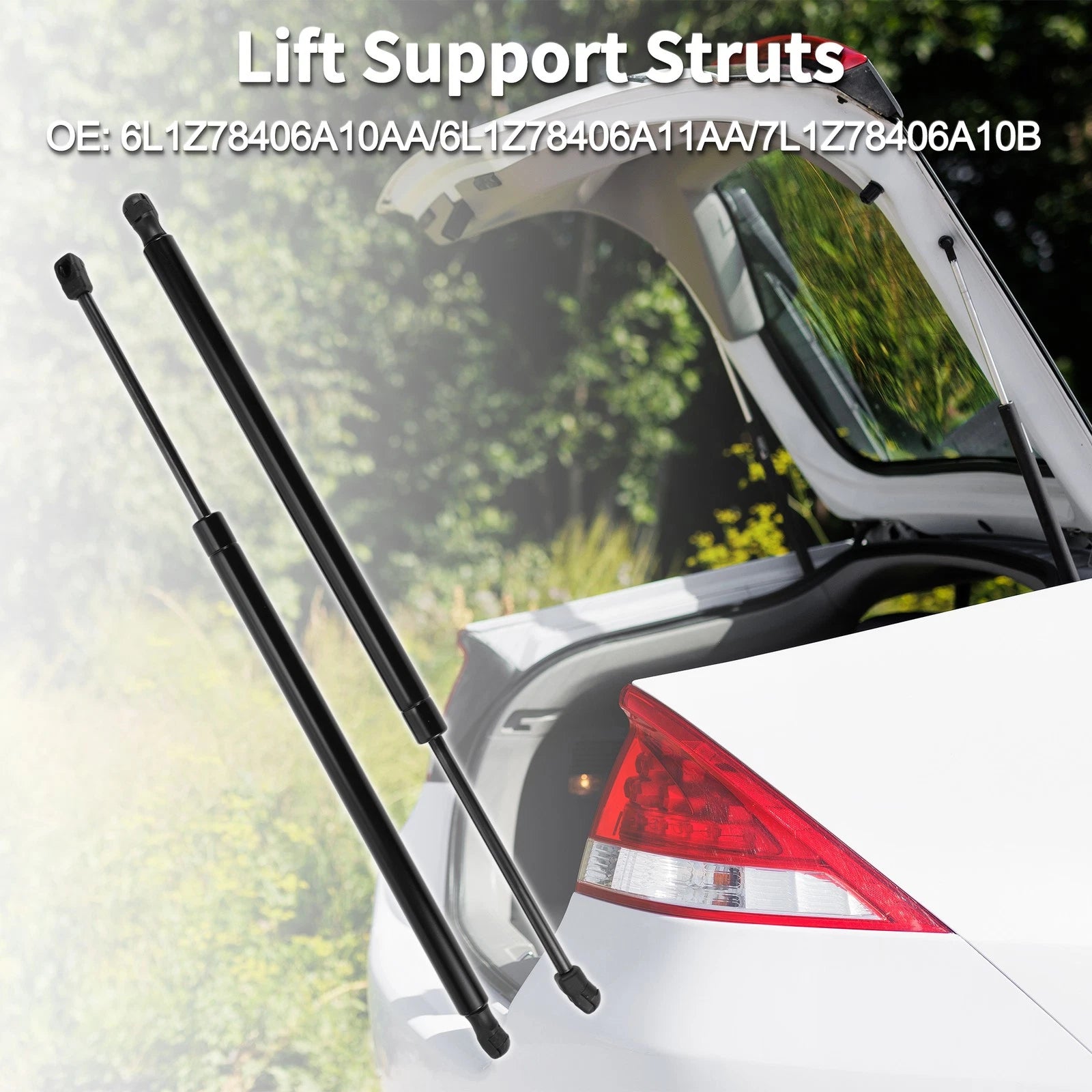 Rear Hatch Lift Supports Struts for Ford Expedition (2003–2023)