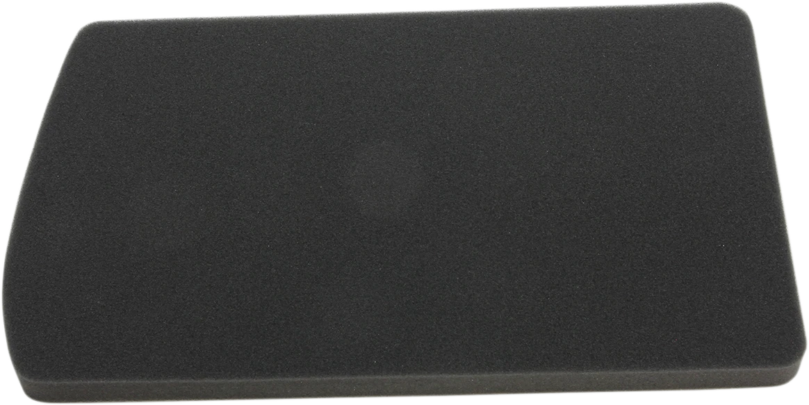 HIFLOFILTRO Air Filter for BMW (HFA7603)
