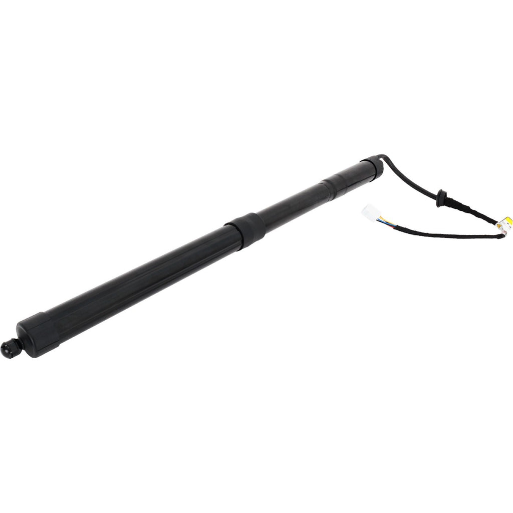 Liftgate Lift Supports for Toyota RAV4 (2019–2023)