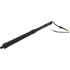 Liftgate Lift Supports for Toyota RAV4 (2019–2023)