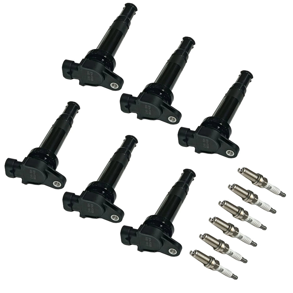 Set of 6 Ignition Coils & Spark Plugs for Hyundai Santa Fe (2007–2009)