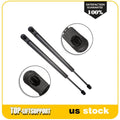 2Pcs Rear Tailgate Lift Supports for Jeep Patriot (2007–2016)