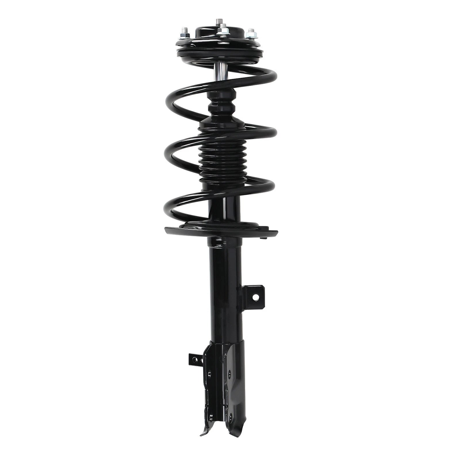 Rear Complete Strut Assembly Shock for Acura TL (2004–2008)