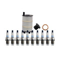 Wix Engine Oil Filter & Denso 10 Double Platinum Spark Plugs for S6 (2016–2023)