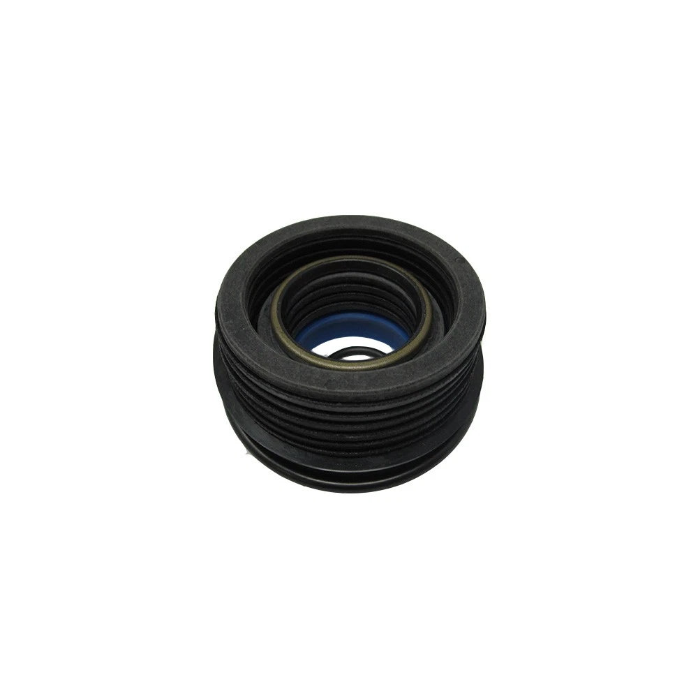 Seal Kit for Ford Loader (1.25" Rod, 2.375" Bore, 251166)