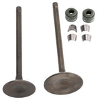 Valve Set Inlet & Exhaust for CG250 ATV/Quad/Dirt Bike (Chinese Models)