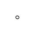 Upper Fuel Injector O-Ring for Dodge Ram 2500, Ram 3500 (OEM)