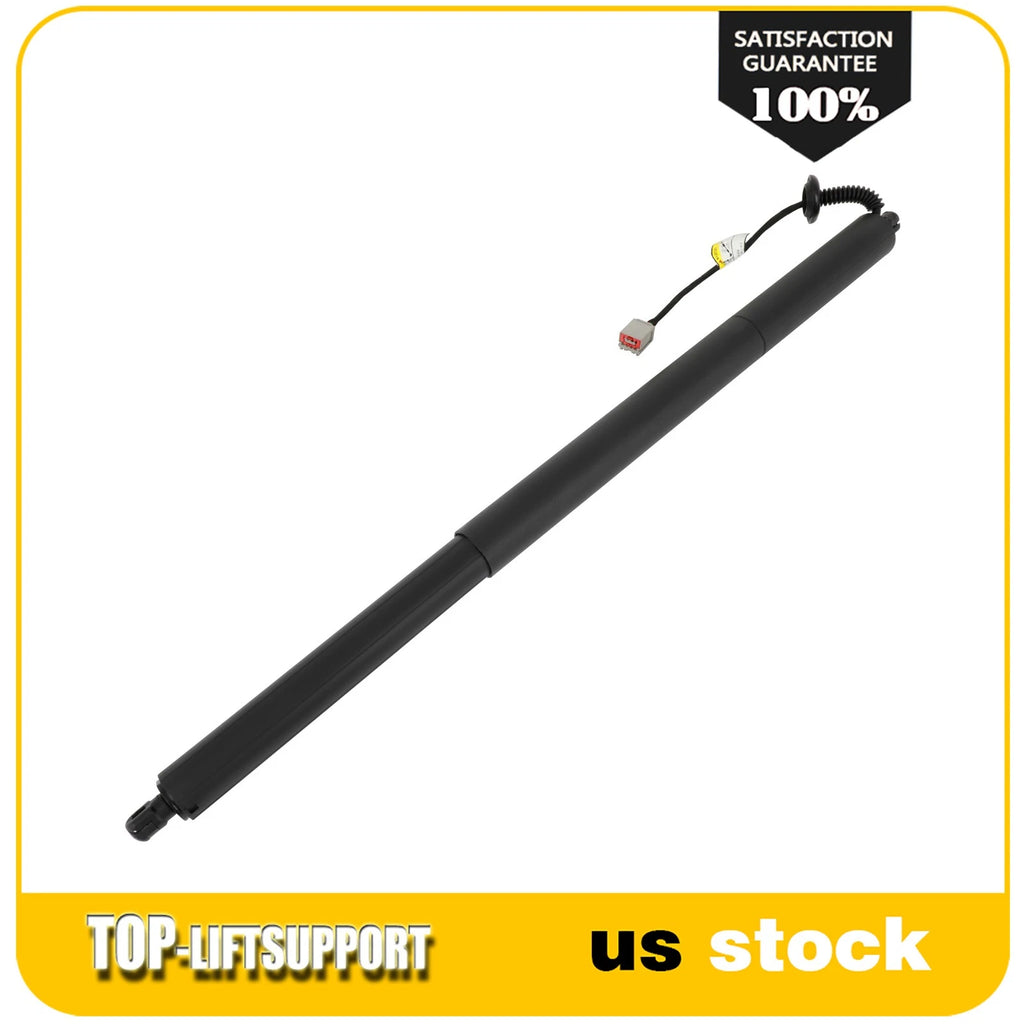 Liftgate Lift Support for Ford Kuga & Escape (2013–2019)