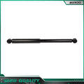 Rear Pair Shocks and Struts for Dodge Ram 1500 (2002–2008)