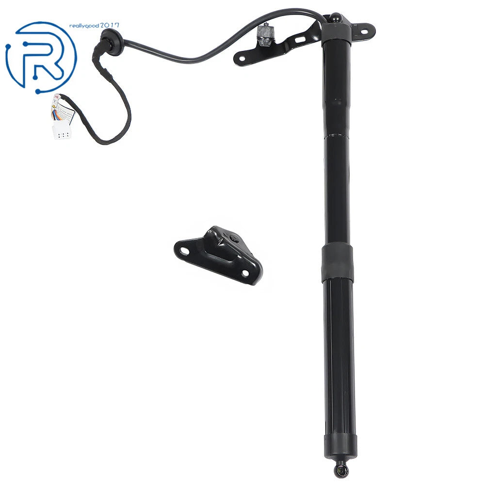 Rear Tailgate Lift Support for Toyota RAV4 (2013-2016)